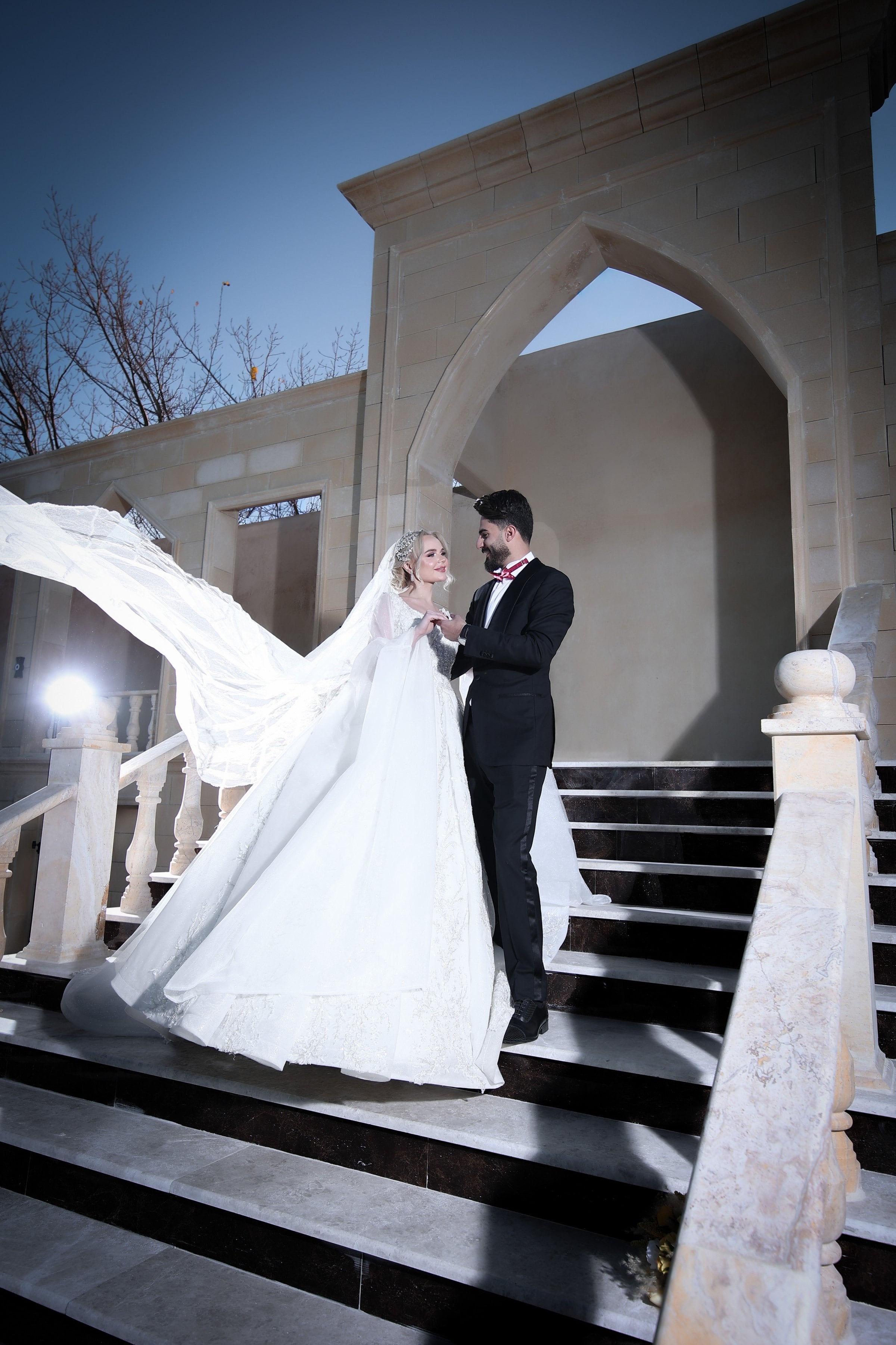 Bride and groom on a grand stone staircase beneath an arched doorway, the bride's cathedral veil billowing dramatically — wedding portrait by Veil & Light